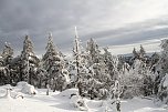 Heiligabend noch kurz auf den Brocken (Foto: VGF) Heiligabend noch kurz auf den Brocken (Foto: VGF)