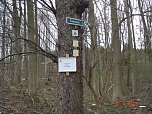 Spuren im Wald (Foto: Familie M.) Spuren im Wald (Foto: Familie M.)
