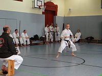 In Halle erfolgreich gekämpft Bild: In Halle erfolgreich gekämpft