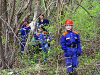 Saubere Stunde in Harztor Bild: Saubere Stunde in Harztor