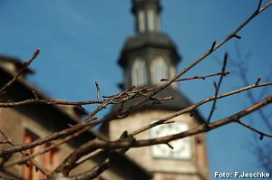 Der Frühling ist da