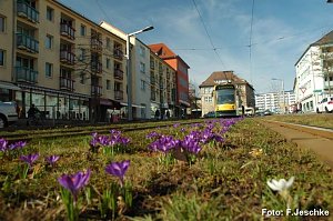 Der Frühling ist da