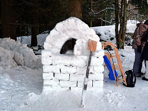 Ein Traum aus Eis und Schnee