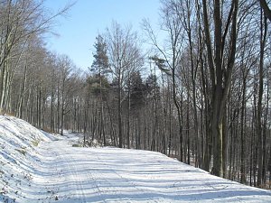 So schön kann Winter sein