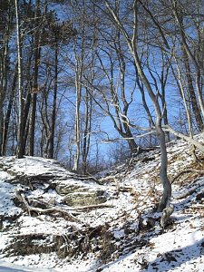 So schön kann Winter sein