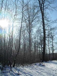 So schön kann Winter sein