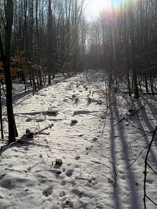 So schön kann Winter sein