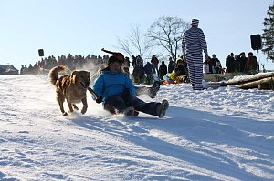 Ski-Fasching in Tanne