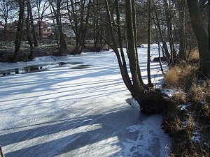Eisige Schönheiten an der Zorge