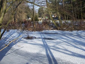 Eisige Schönheiten an der Zorge