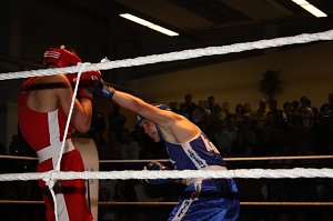 Nordhäuser SV gegen Velberter Box Club - 13:10