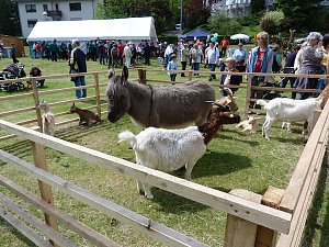 Märchentag in Bad Sachsa