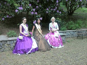 Rhododendronfest in Sülzhayn