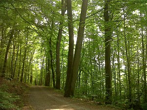 Unterwegs in Bad Kissingen