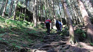 100 Kilometer Sächsische Schweiz