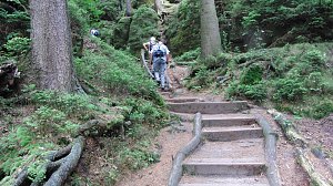 100 Kilometer Sächsische Schweiz