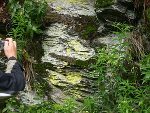 Immer an der Selke entlang