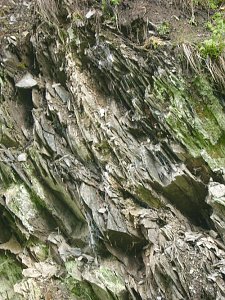 Immer an der Selke entlang