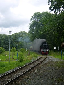 Immer an der Selke entlang