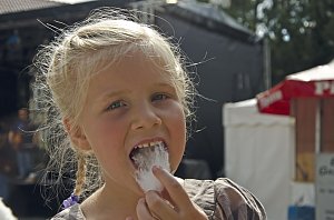 Altstadtfest