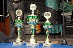 Altstadtfest