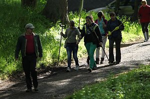 Arbeitseinsatz im Park Hohenrode