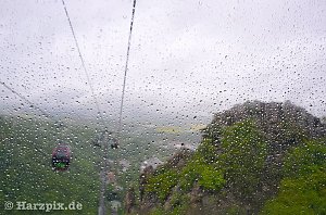 Harzpix vom Ausflug