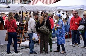 Harzpix vom Ausflug