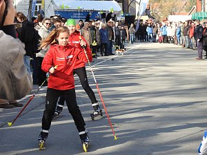 Wintermärchen in Elbingerode