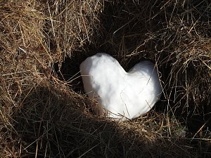 Wintermärchen in Elbingerode