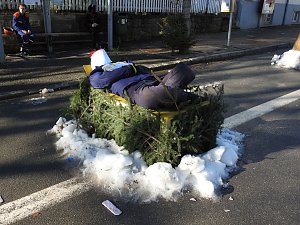 Wintermärchen in Elbingerode