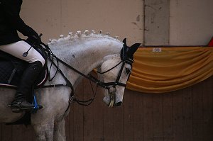 Hoffest in Wollersleben