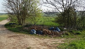 Illegale Entsorgung am Wanderweg