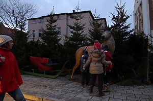 Vorweihnachtliches Nordhausen