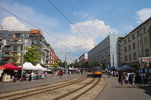 50. Nordhäuser Rolandsfest - der Samstagnachmittag