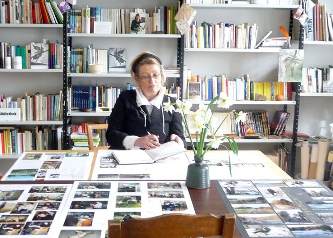 Bibliothek (Foto: privat) Bibliothek (Foto: privat)