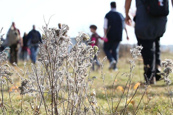 Wanderung zu den Kranichen (Foto: nnz) Wanderung zu den Kranichen (Foto: nnz)