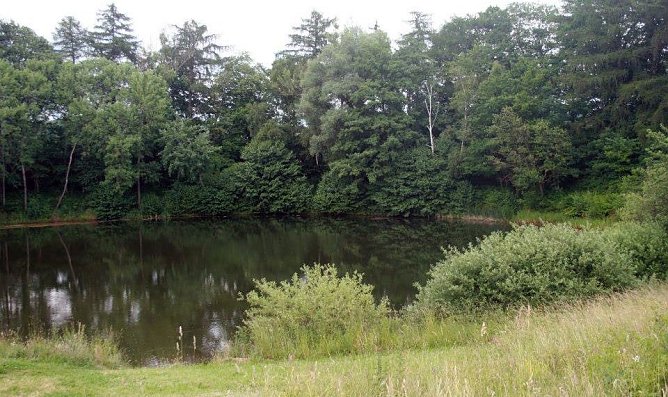 Der Fundort (Foto: privat) Der Fundort (Foto: privat)