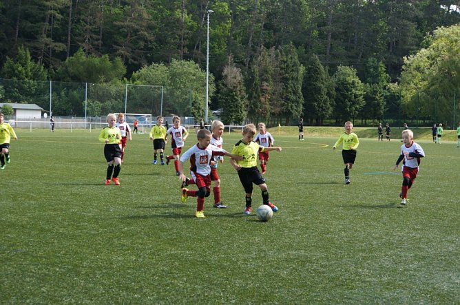 Am Ball der 8-fache Torschütze Lio-Nils Heller. (Foto: Martina Nebelung) Am Ball der 8-fache Torschütze Lio-Nils Heller. (Foto: Martina Nebelung)