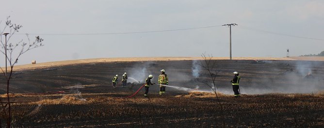 Abgebranntes Feld bei Niedersachswerfen (Foto: Angelo Glashagel) Abgebranntes Feld bei Niedersachswerfen (Foto: Angelo Glashagel)
