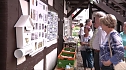 Museumsfest in Ilfeld (Foto: nnz)