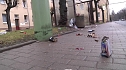 B&ouml;llerabfall auf den Stra&szlig;en (Foto: nnz)