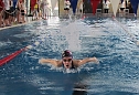 10. Stadtmeisterschaften im Schwimmen (Foto: privat) 10. Stadtmeisterschaften im Schwimmen (Foto: privat)