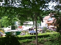 13. Rhododendronfest in S&uuml;lzhayn (Foto: Seifert)