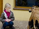 Besuch im Zoo (Foto: Blitzlicht-Nordhausen.de)
