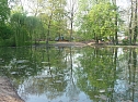 Spiegelbilder im Stadtpark (Foto: nnz)