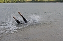Triathlon (Foto: blitzlicht-nordhausen.de)