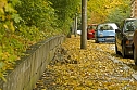 Herbst (Foto: Michael Caspari (blitzlicht-nordhausen.de))