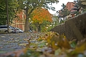 Herbst (Foto: Michael Caspari (blitzlicht-nordhausen.de))