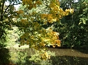 Herbstliches in Nordhausen (Foto: W. Kaiser)
